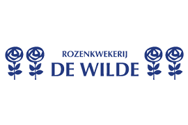dewilde.nl